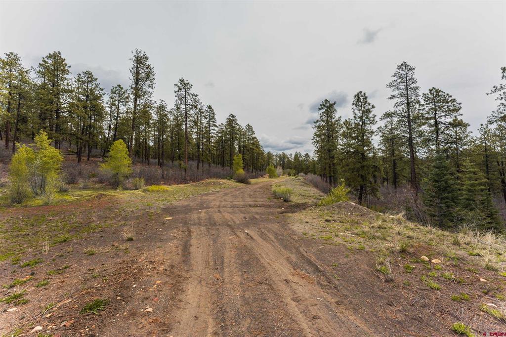 Tbd County Rd. 240 Property Photo 21