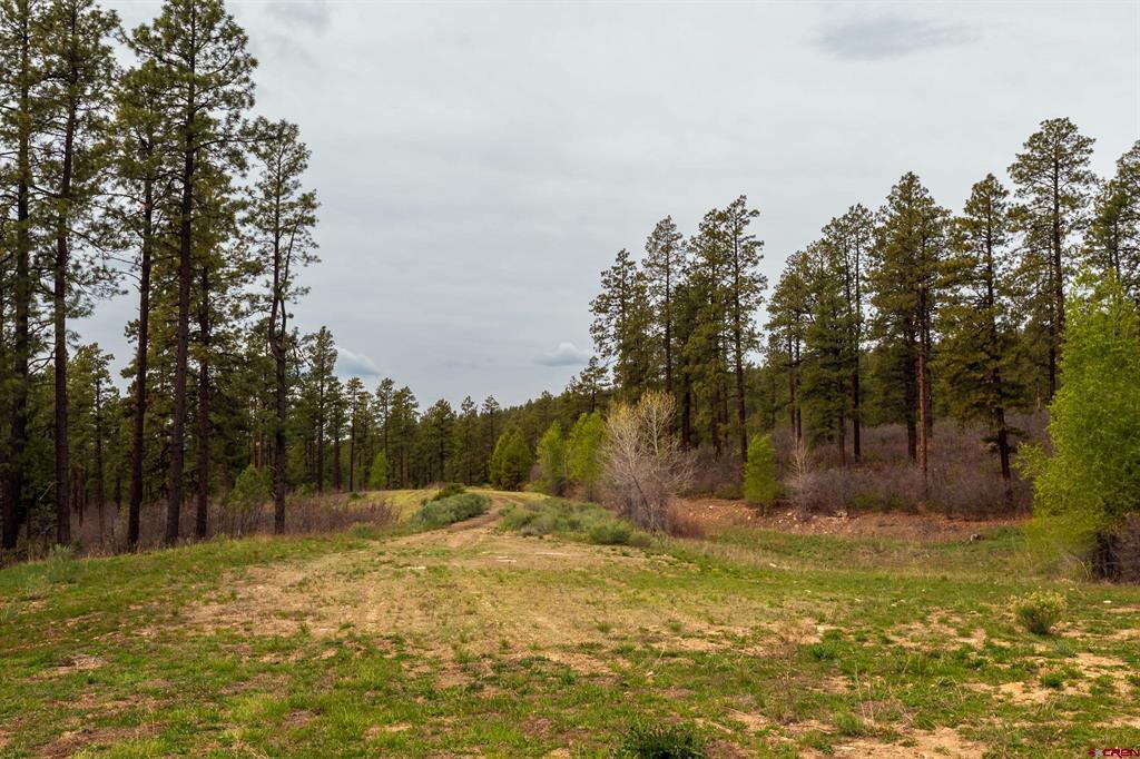 Tbd County Rd. 240 Property Photo 22