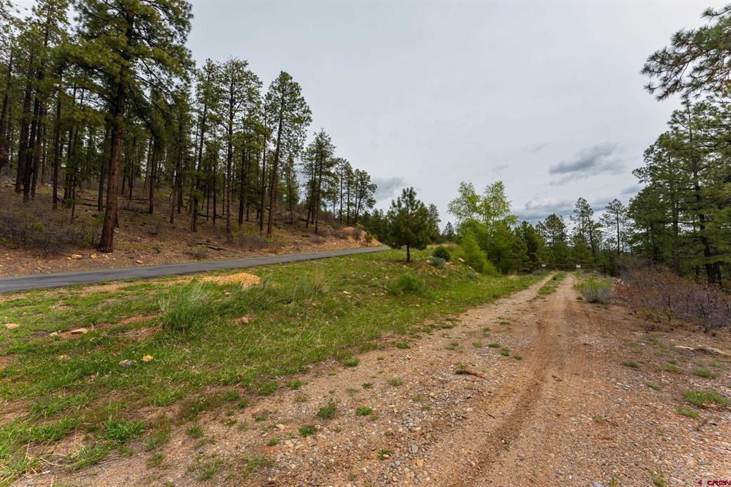 Tbd County Rd. 240 Property Photo 23