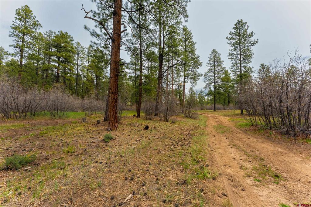 Tbd County Rd. 240 Property Photo 31
