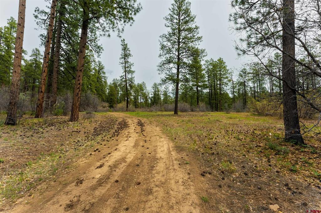 Tbd County Rd. 240 Property Photo 32