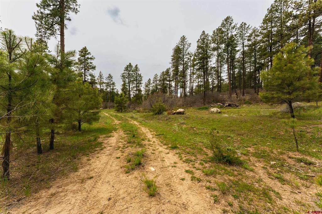 Tbd County Rd. 240 Property Photo 33