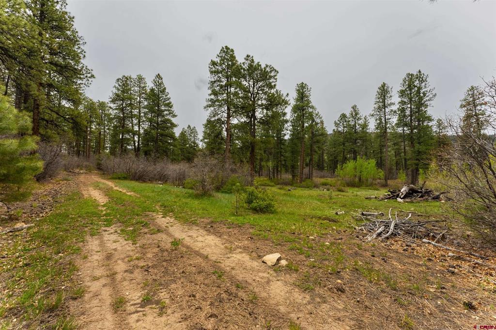 Tbd County Rd. 240 Property Photo 34