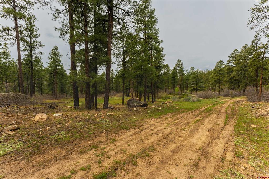 Tbd County Rd. 240 Property Photo 35