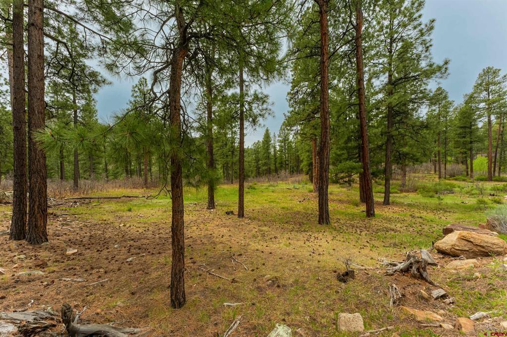 Tbd County Rd. 240 Property Photo 36