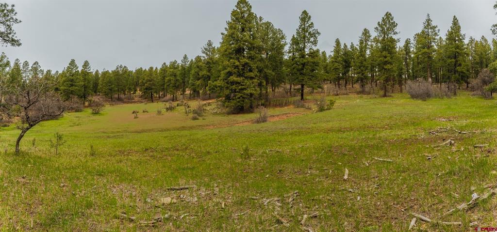 Tbd County Rd. 240 Property Photo 37