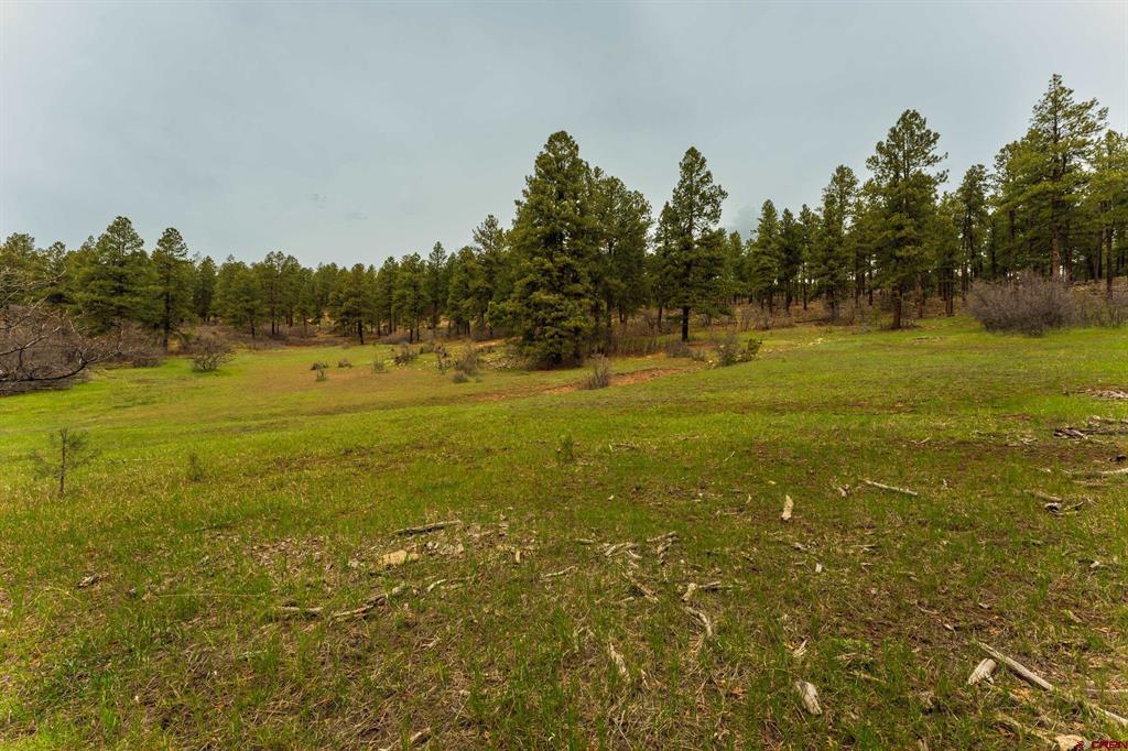 Tbd County Rd. 240 Property Photo 38