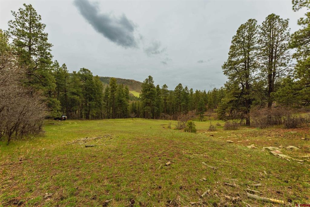 Tbd County Rd. 240 Property Photo 39