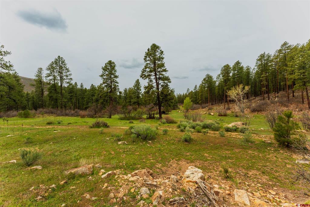 Tbd County Rd. 240 Property Photo 40