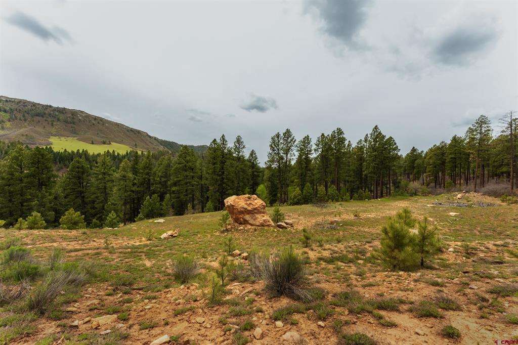 Tbd County Rd. 240 Property Photo 41