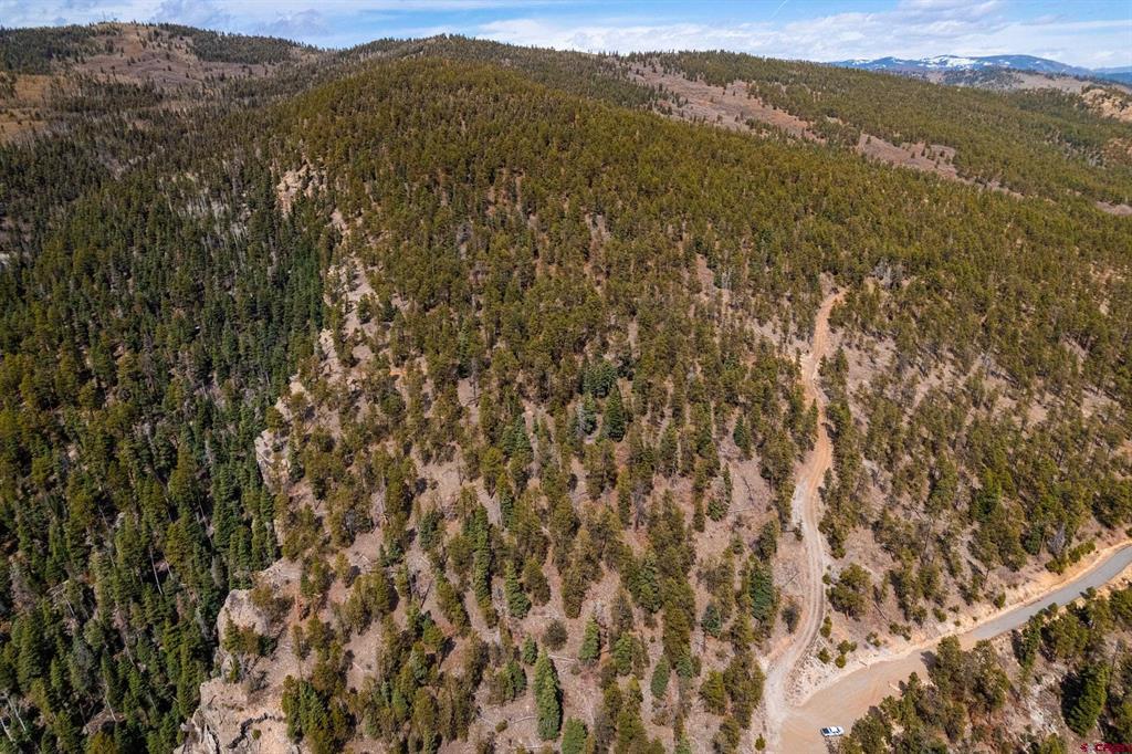 Tbd County Rd. 240 Property Photo 44