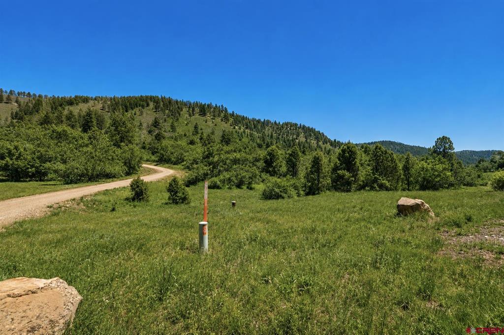 Tbd Road 46 Property Photo 13