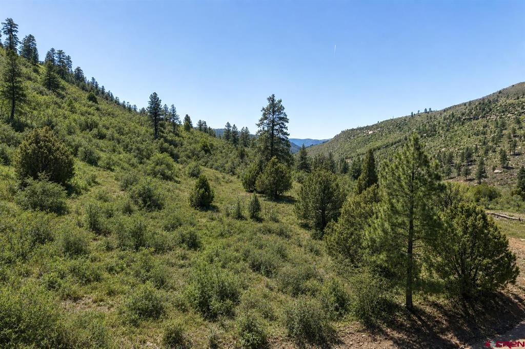 Tbd Road 46 Property Photo 14