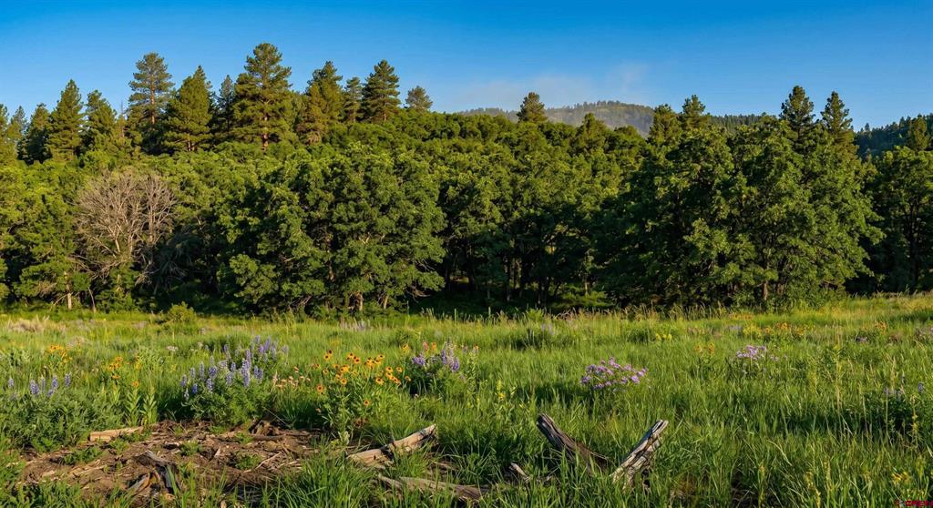Tbd Road 46 Property Photo 20