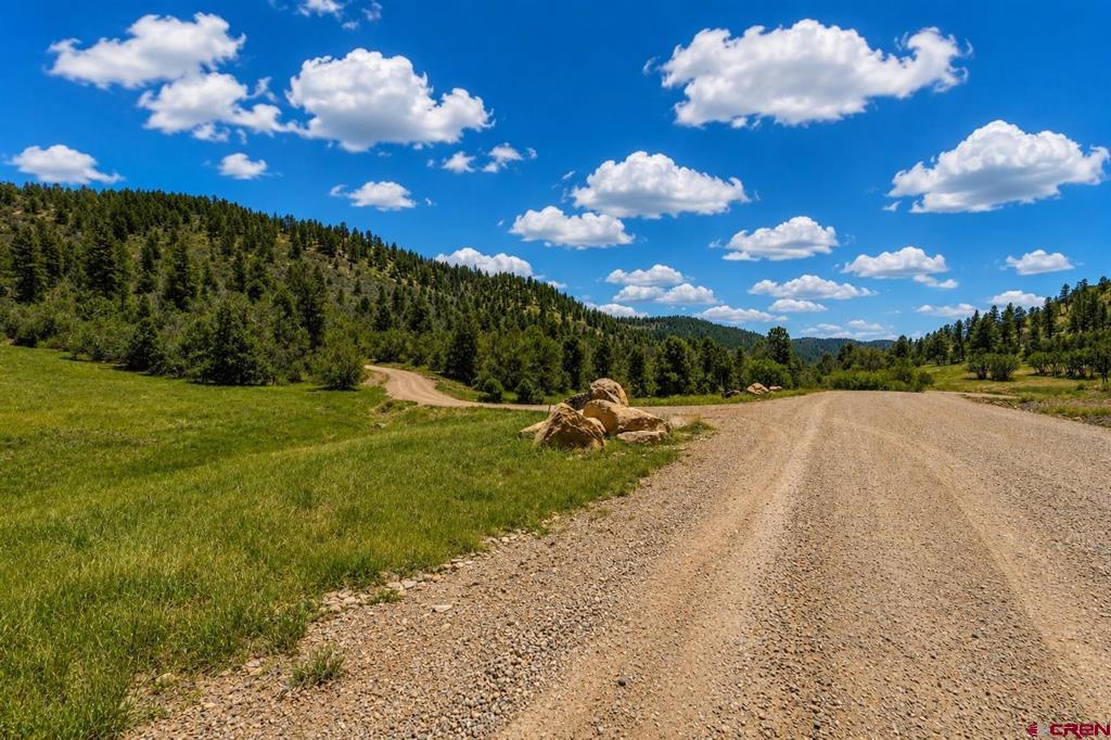 Tbd Road 46 Property Photo 25