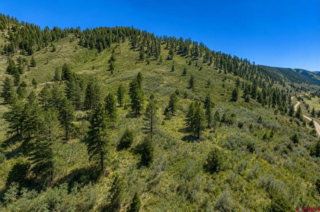 Tbd Road 46 Property Photo 26