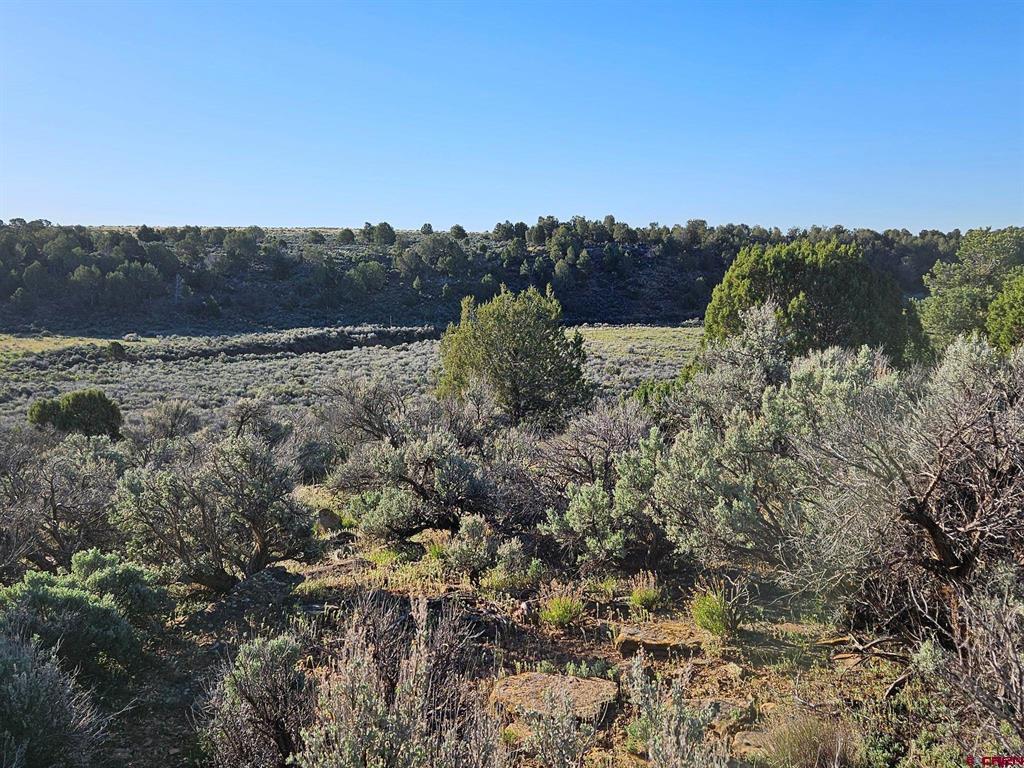 1177 County Road 119a Property Photo 11