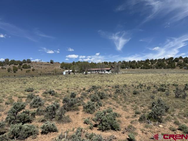 2178 County Road 309a Property Photo 8
