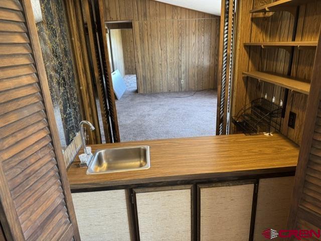 2178 County Road 309a Property Photo 26