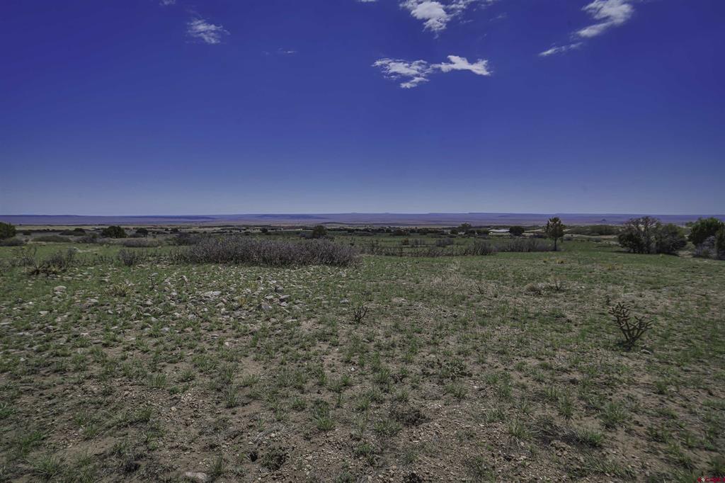 Tbd Cl&l Lot 93 Property Photo 20
