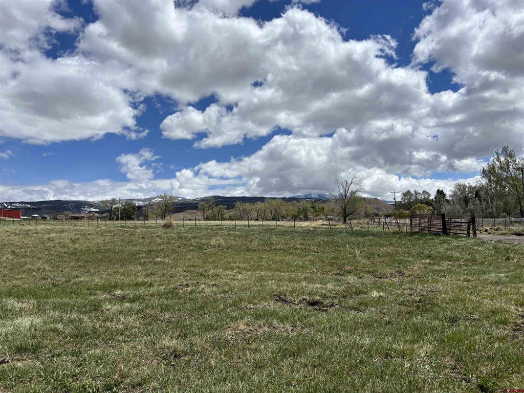 Tbd Kinikin Road Property Photo 3