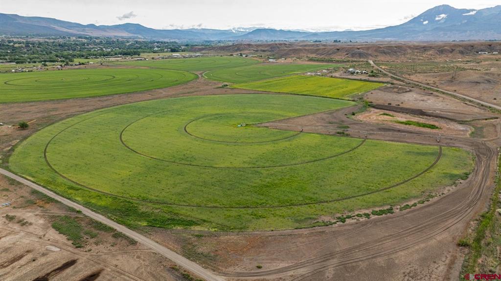 8015 Scenic Mesa Road Property Photo 8