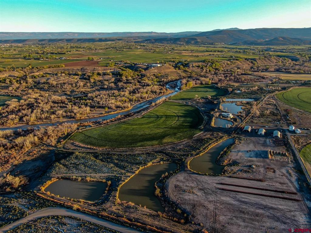 8015 Scenic Mesa Road Property Photo 13