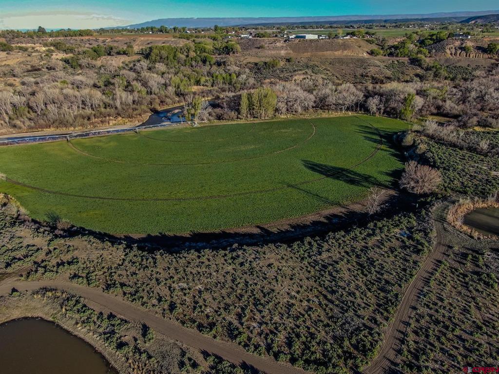 8015 Scenic Mesa Road Property Photo 15