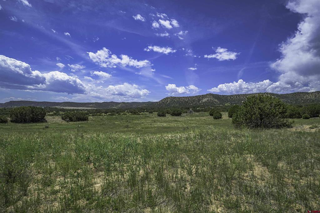 Tbd County Road 71.1 Property Photo 2