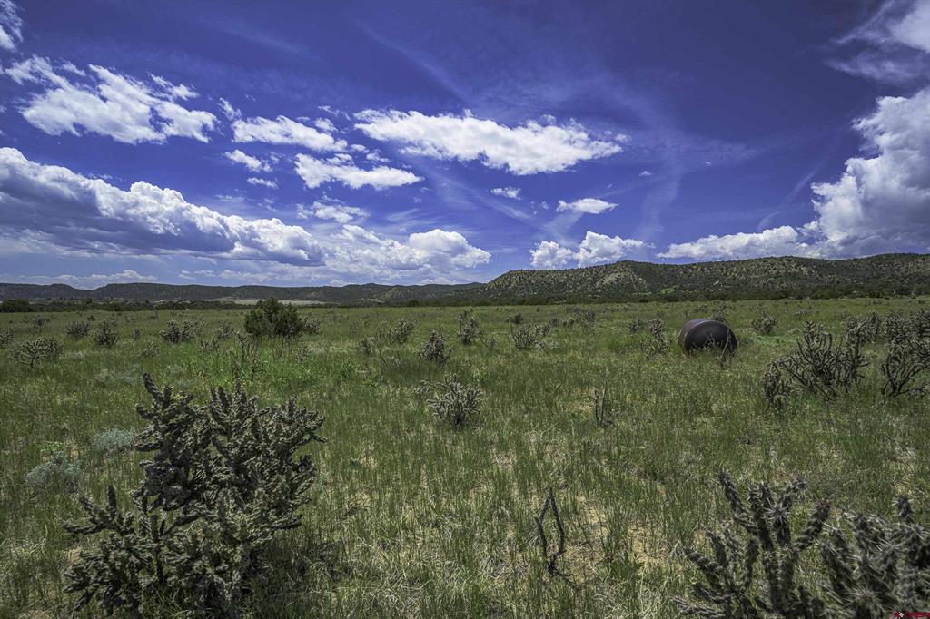 Tbd County Road 71.1 Property Photo 3