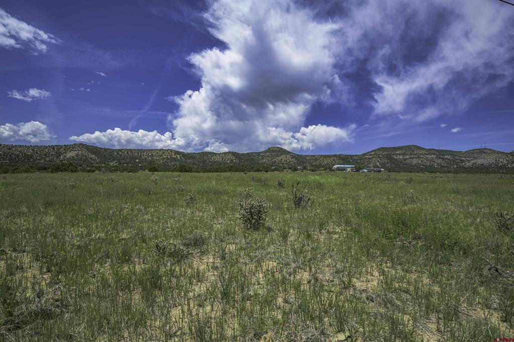 Tbd County Road 71.1 Property Photo 7