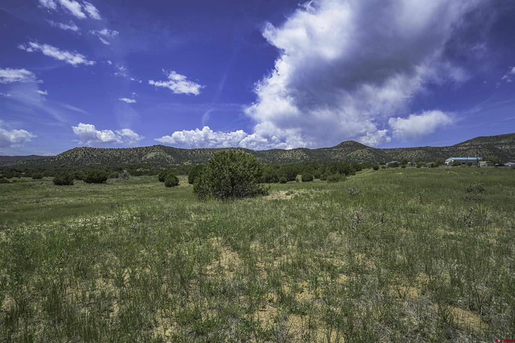Tbd County Road 71.1 Property Photo 9