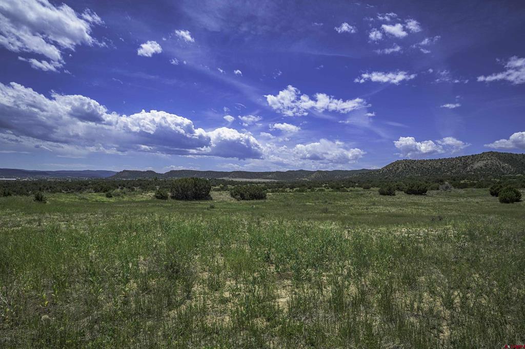 Tbd County Road 71.1 Property Photo 10