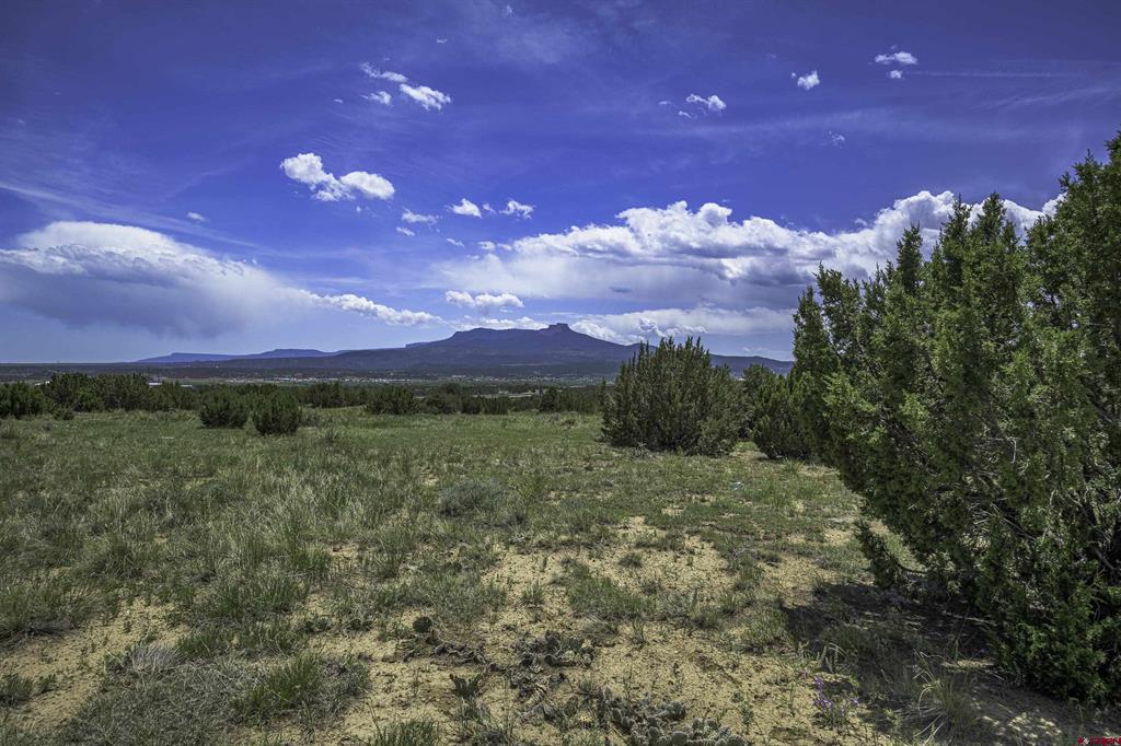 Tbd County Road 71.1 Property Photo 13