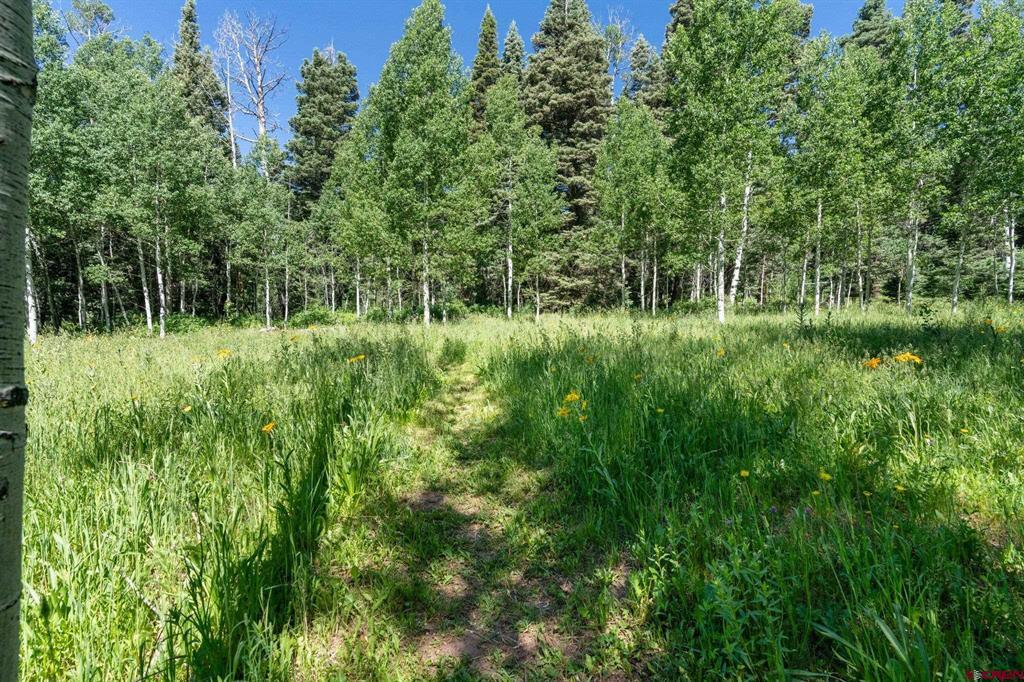1641 Sierra Verde Drive Property Photo 32
