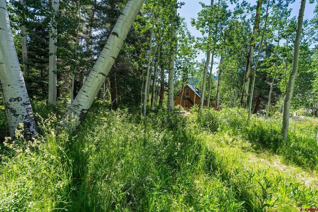 1641 Sierra Verde Drive Property Photo 33