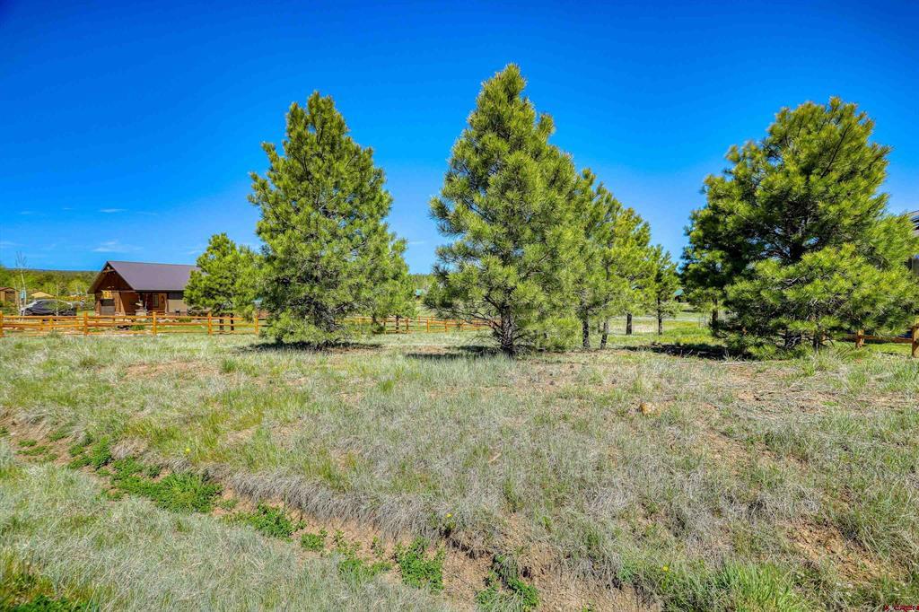 35 Carpin Circle Property Photo 4