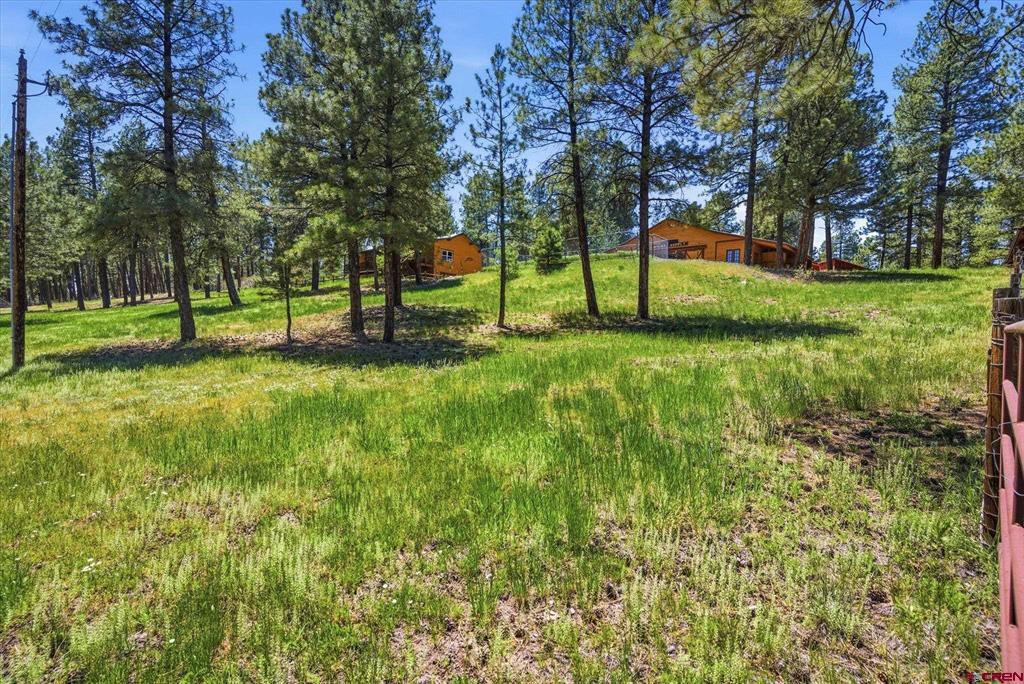 30 Stagecoach Road Property Photo 29