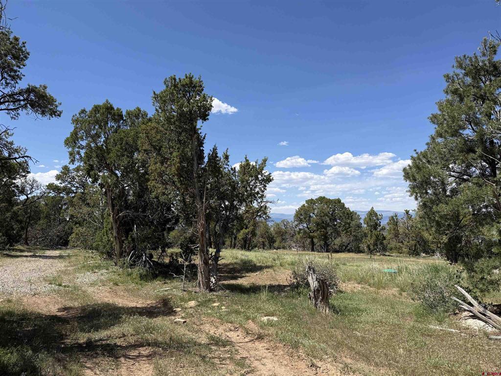 79014 Antler Trail Property Photo 27