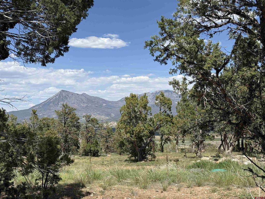 79014 Antler Trail Property Photo 31