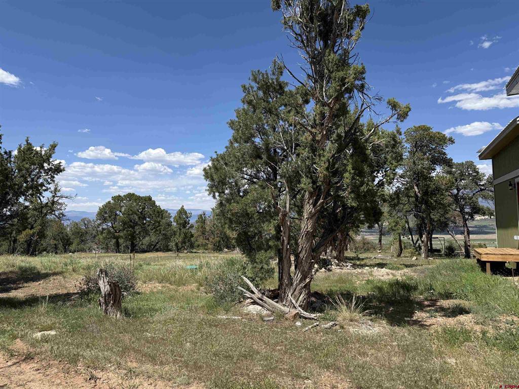 79014 Antler Trail Property Photo 35
