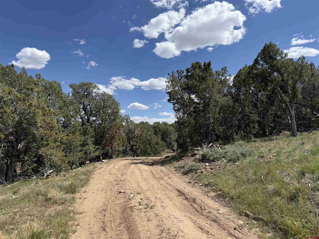 79014 Antler Trail Property Photo 43