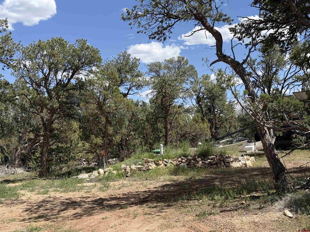 79014 Antler Trail Property Photo 44
