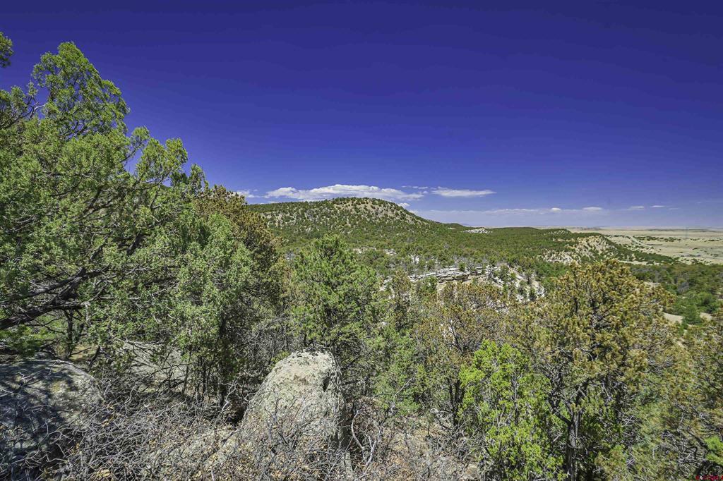 Tbd Rikki Rowdy Place Property Photo 1