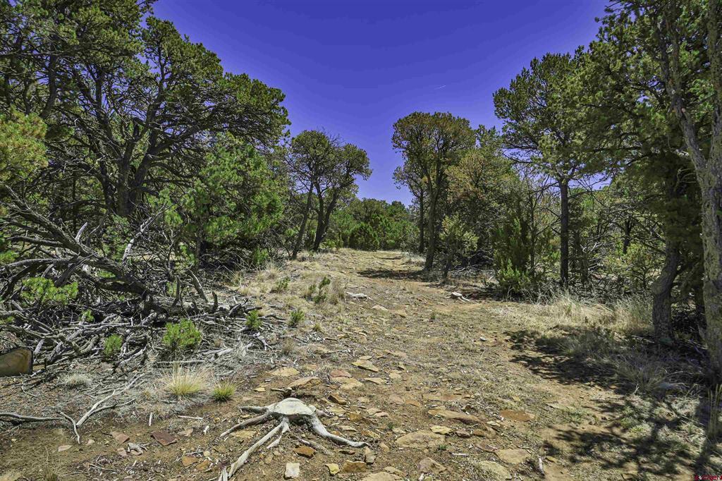Tbd Rikki Rowdy Place Property Photo 2