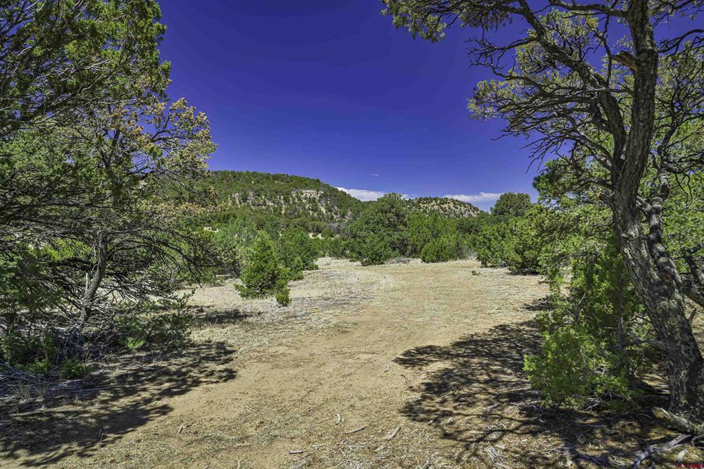 Tbd Rikki Rowdy Place Property Photo 3