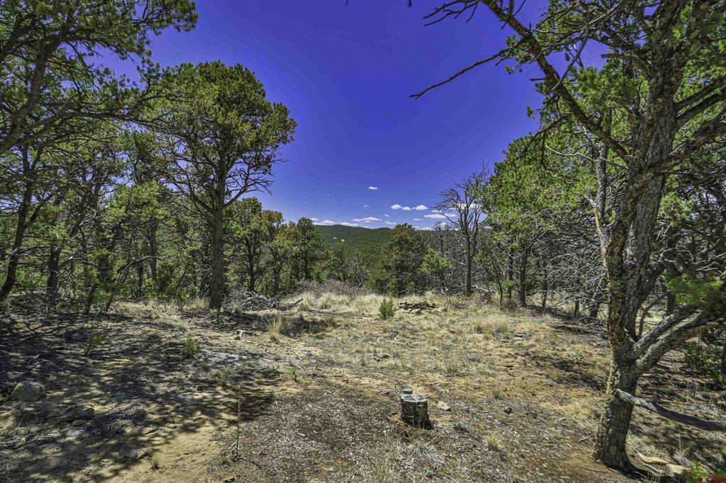 Tbd Rikki Rowdy Place Property Photo 4