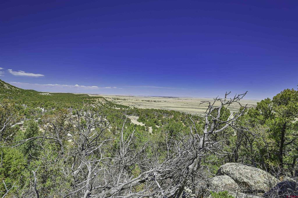 Tbd Rikki Rowdy Place Property Photo 5