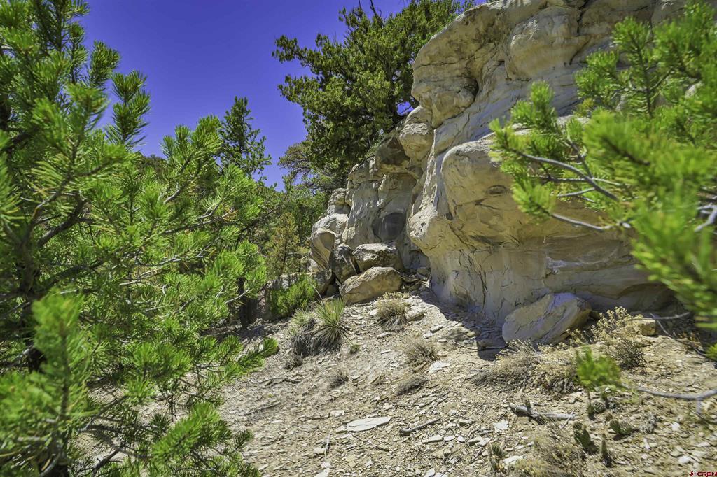 Tbd Rikki Rowdy Place Property Photo 6