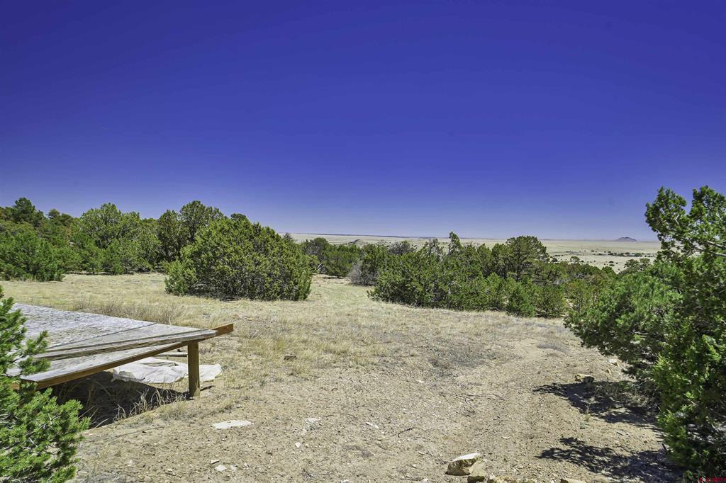 Tbd Rikki Rowdy Place Property Photo 7